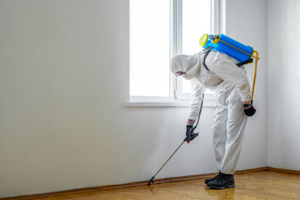 Reliable New Cumberland, PA Pest Control Solutions