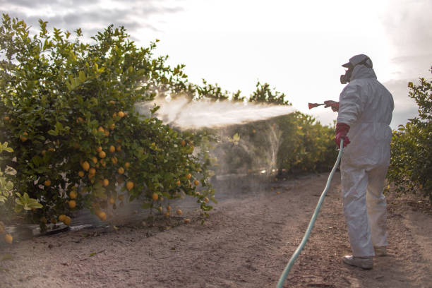 Best Bed Bug Extermination  in New Cumberland, PA