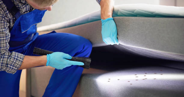 Best Emergency Pest Control  in New Cumberland, PA