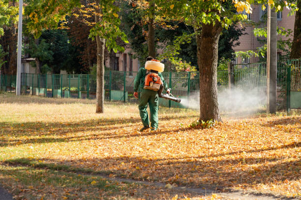 Best Best Pest Control Companies  in New Cumberland, PA
