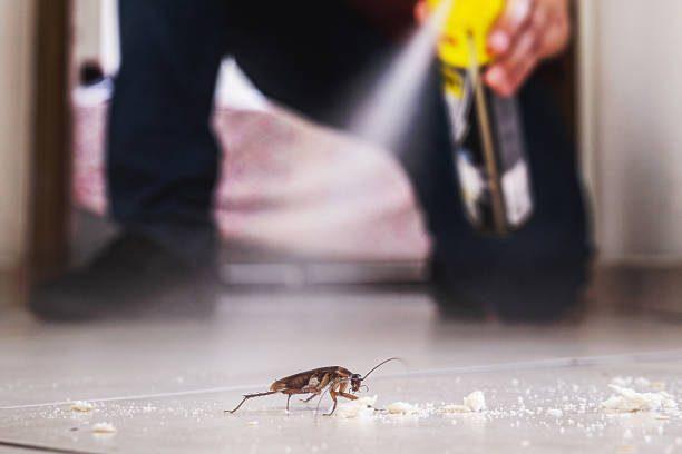 Best Mosquito Control Services  in New Cumberland, PA