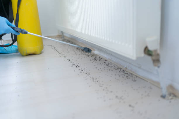 Best Pest Control for Businesses  in New Cumberland, PA